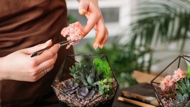 Tworzenie własnego miniaturowego ogrodu w słoiku: jak to zrobić samodzielnie